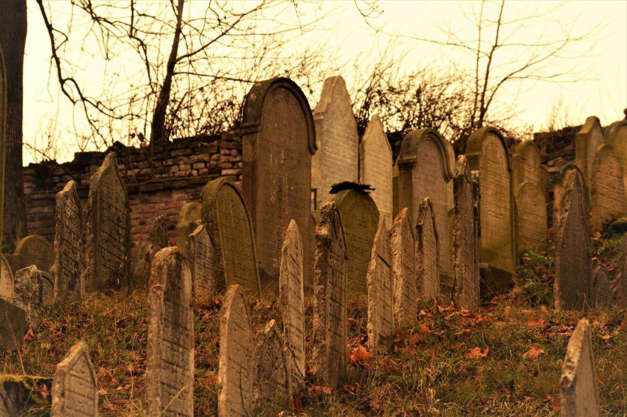 Penzion David Třešť 외부 사진
